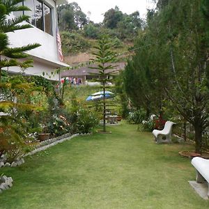 Krs Pines Hotel